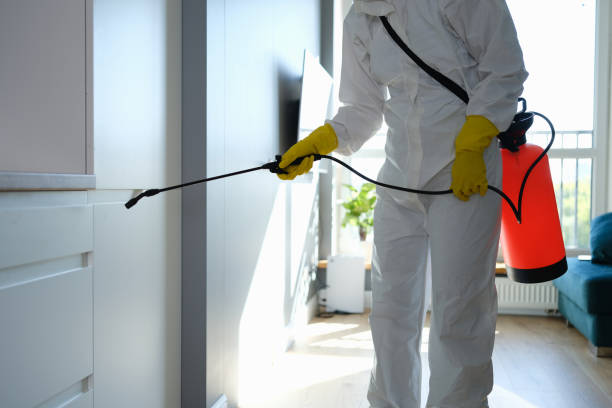 Best Residential Mold Remediation in Stanhope, NJ